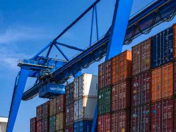 Danışmanlık Hizmetleri